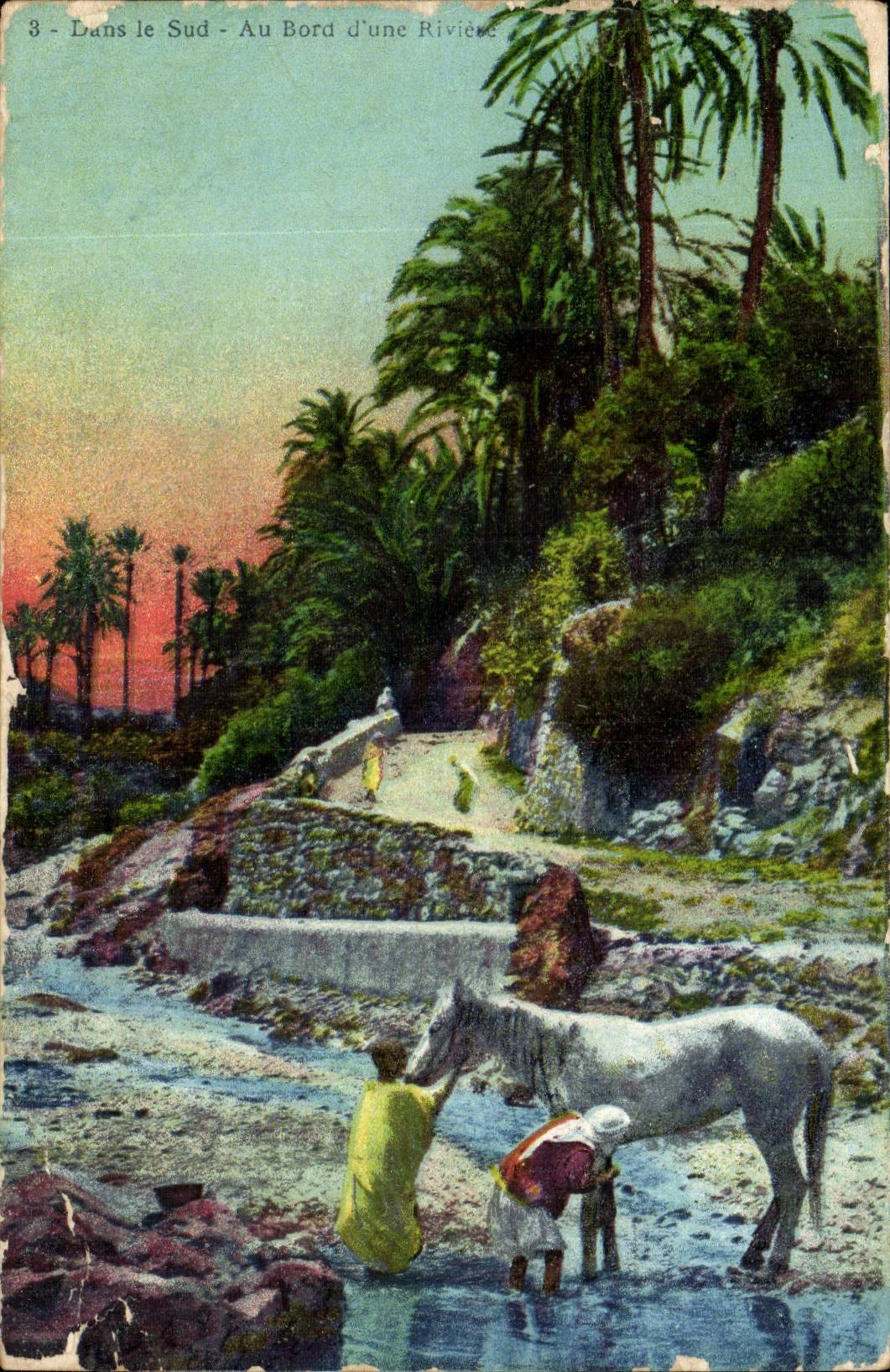 Algerie Dans le sud Au bord d'une riviere Cheval CPA 