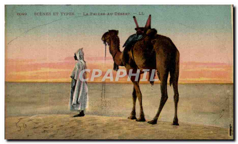 Algerie Scenes et types CPA La priere au desert (camel dromadaire chameau)