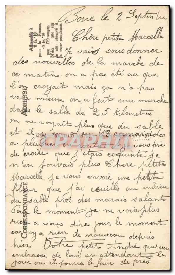 Algerie Scenes et types CPA La priere au desert (camel dromadaire chameau) — Rückseite