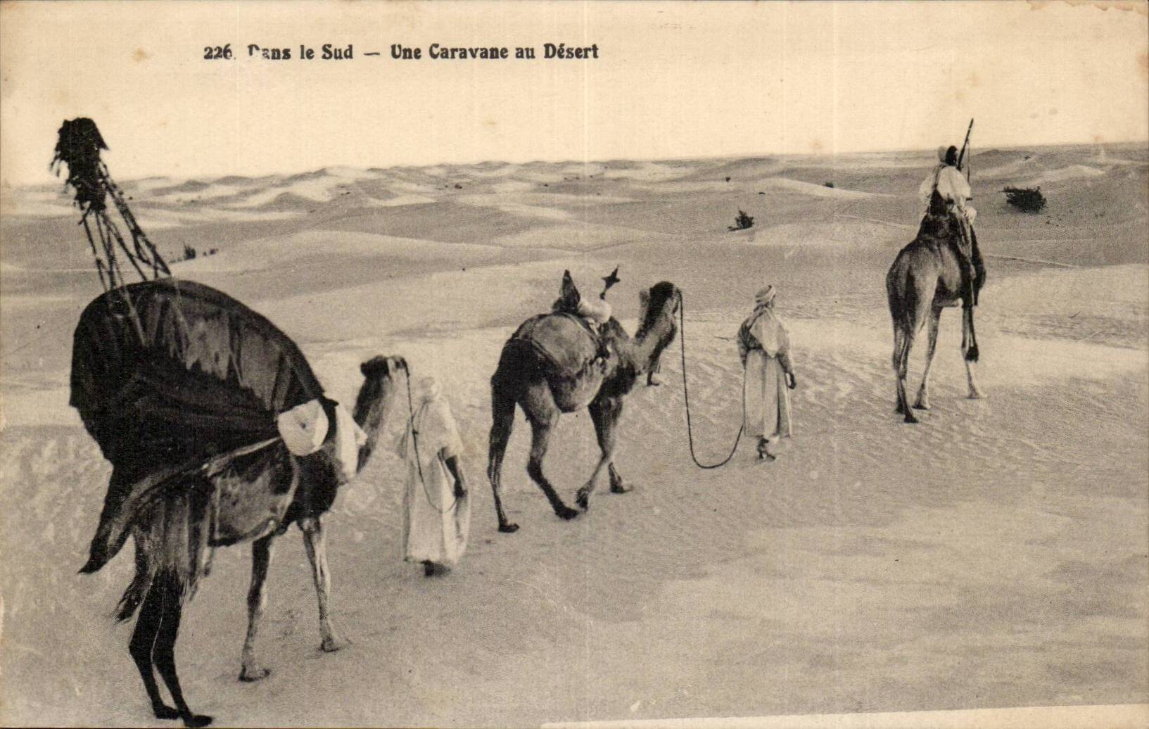 Dans le Sud — Une Caravane au Désert — n°226