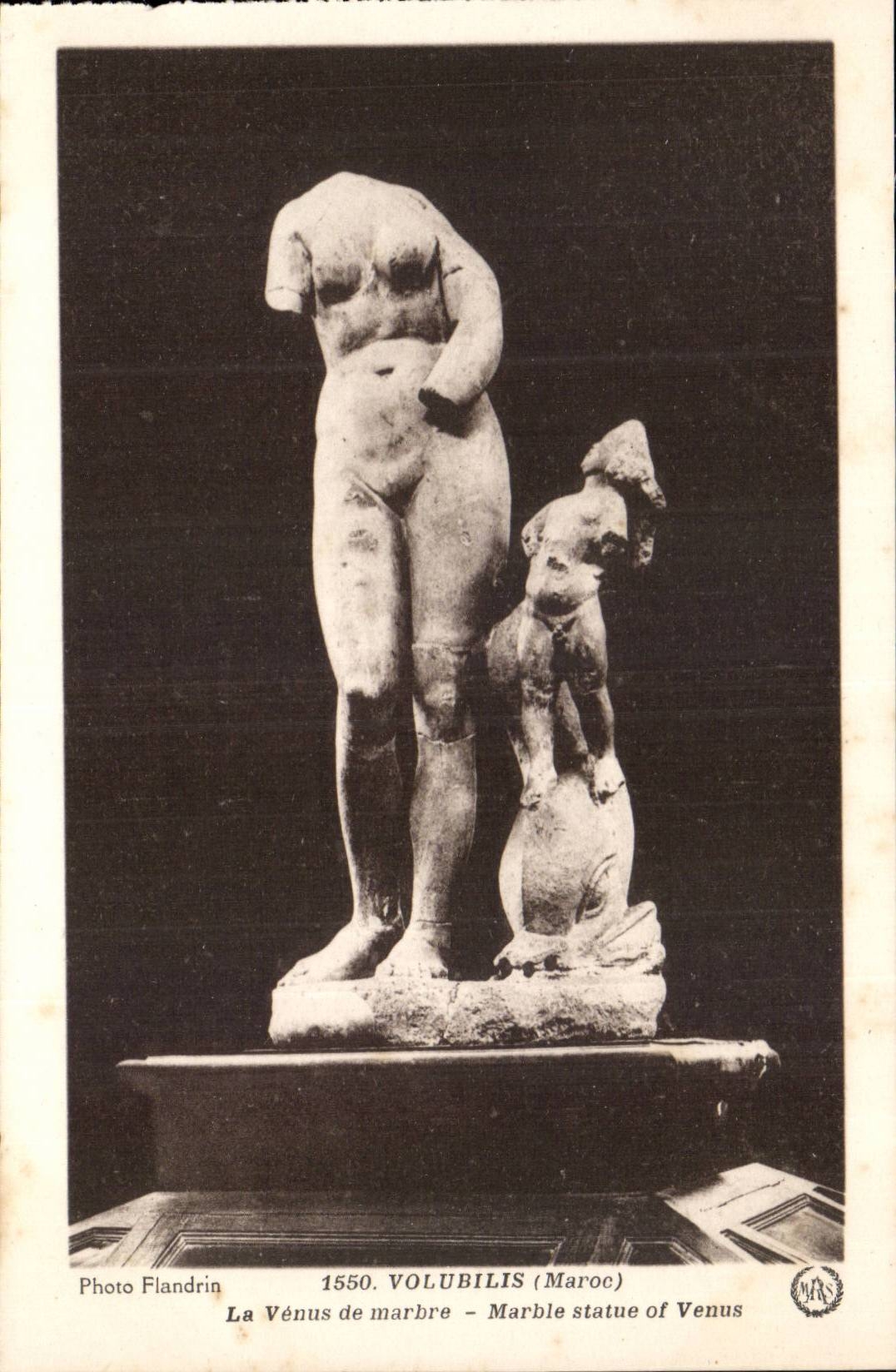 Maroc Volubilis CPA La VEnus en marbre 