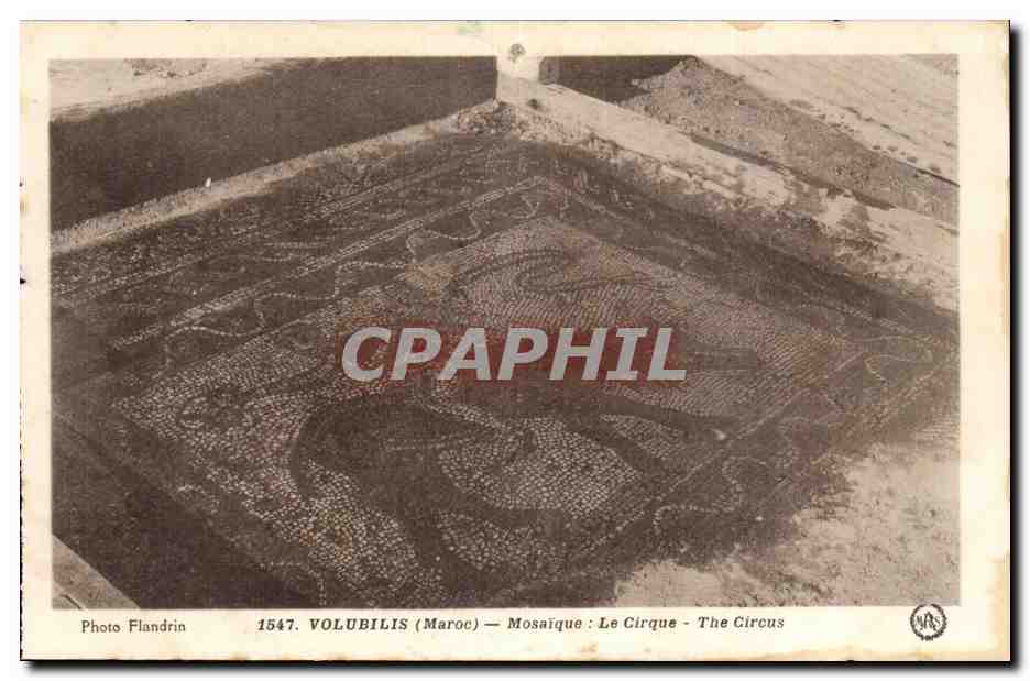 Maroc Volubilis CPA Mosaiques Le cirque (circus)