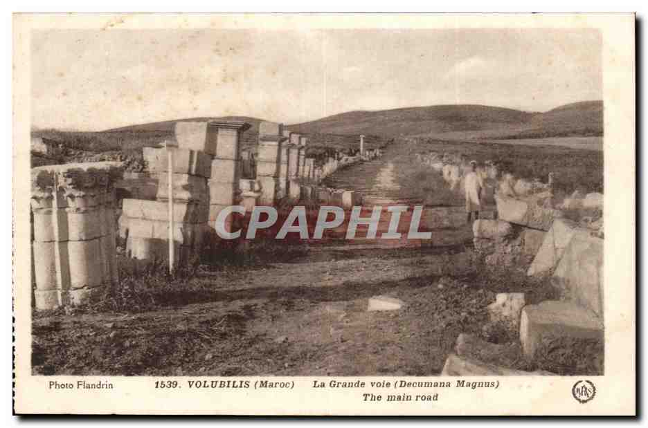 Maroc Volubilis CPA La grande voie (Decumanana Magnus)