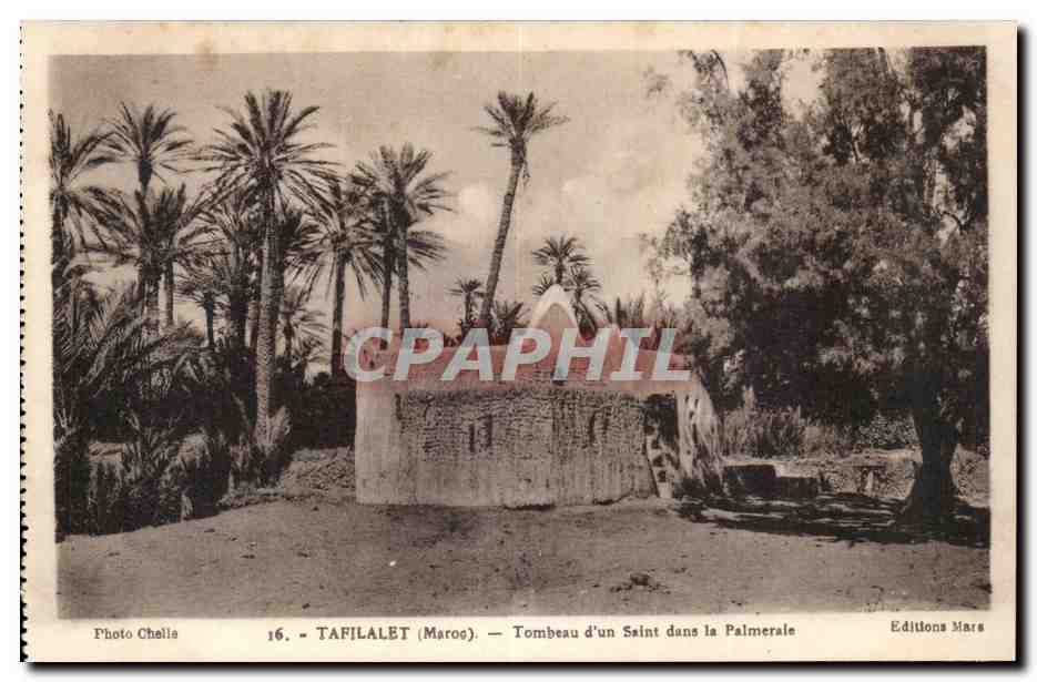 Maroc Tafilalet CPA Tombeau d'un saint dans la palmeraie