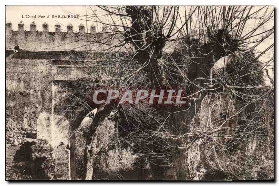 Maroc Fez CPA L'oued Fez a Bab Djedid