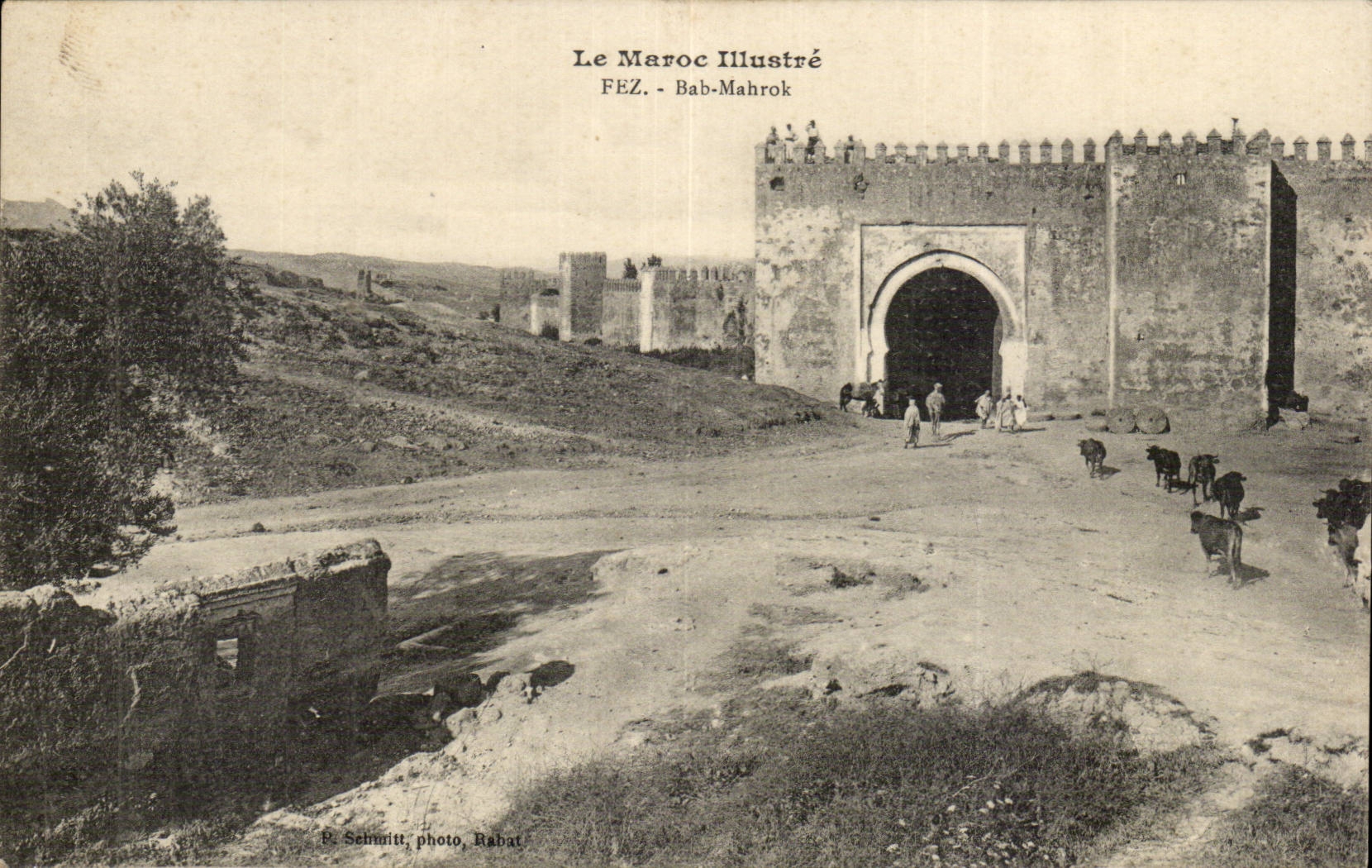 Maroc Fez CPA Bab Mahrok