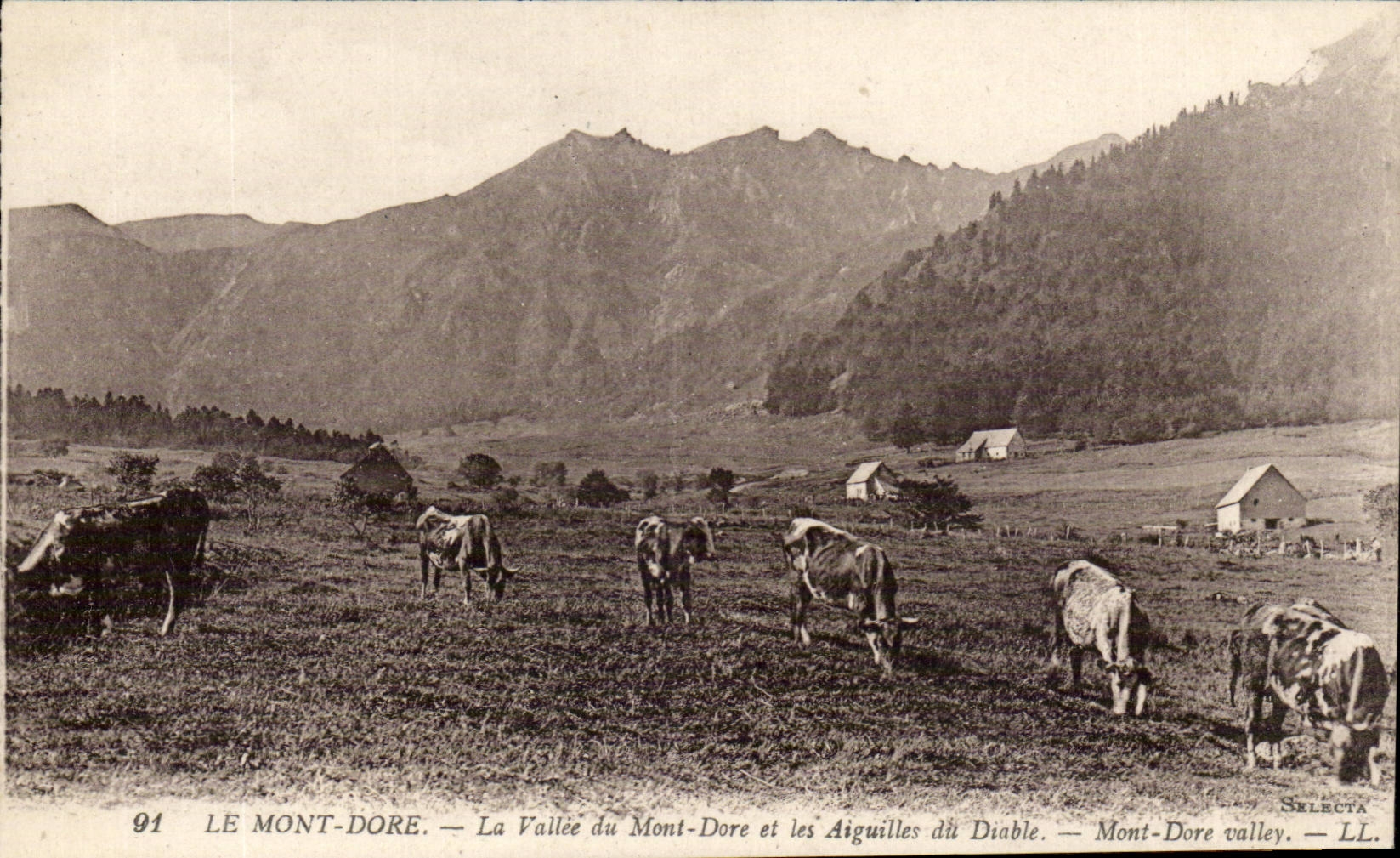 Le Mont Dore CPA La vallee du Mont Dore et les aiguilles du diable (vaches)