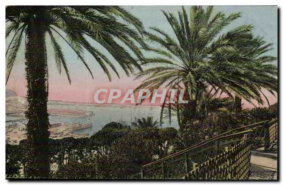 Algerie Oran CPA Palmiers