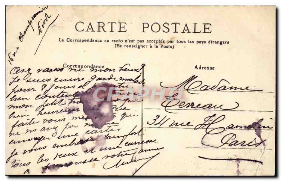 Niort CPA Allee haute du jardin des plantes — Rückseite