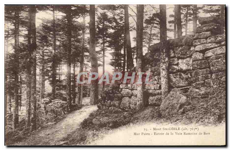 Mont Sainte Odile - Mur Paien - Entree de la Voie Romaine de Barr - CPA 