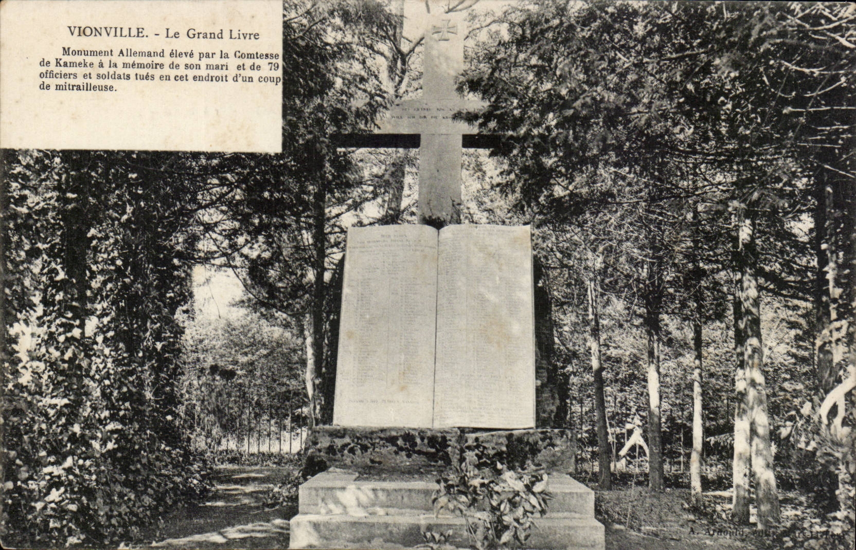 Vionville - Le Grand Livre - CPA 