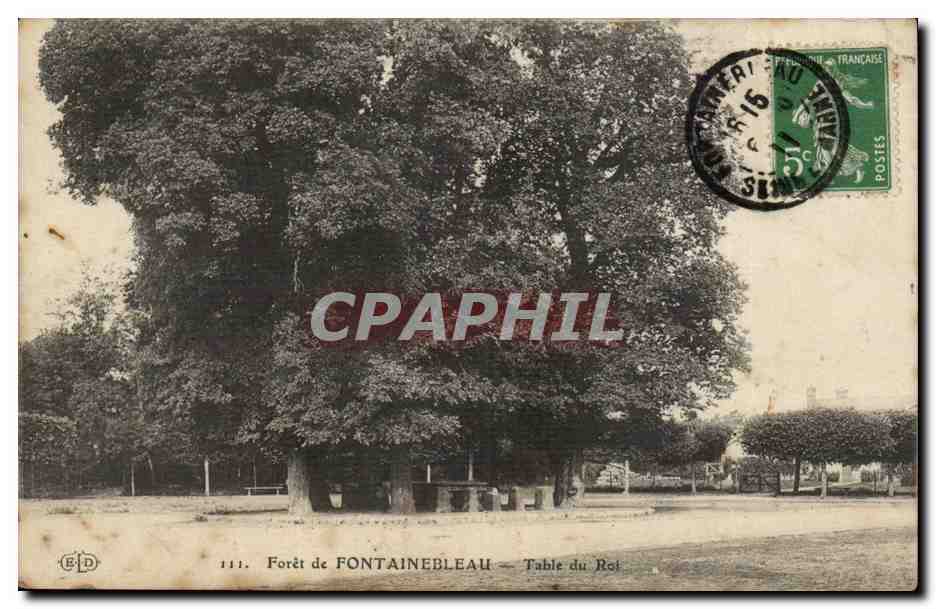 Forêt de FONTAINEBLEAU — Table du Roi
