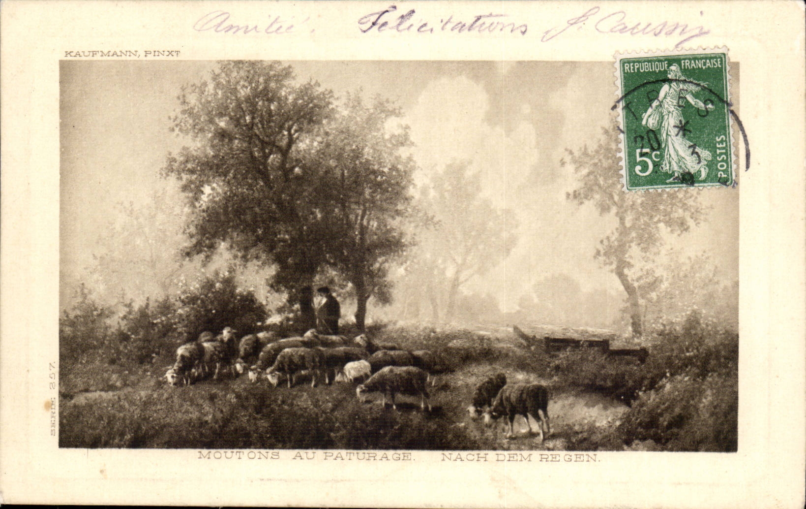 Animaux- Moutons au Paturage - Nach dem Regen - Sheep - Scharf - CPA 