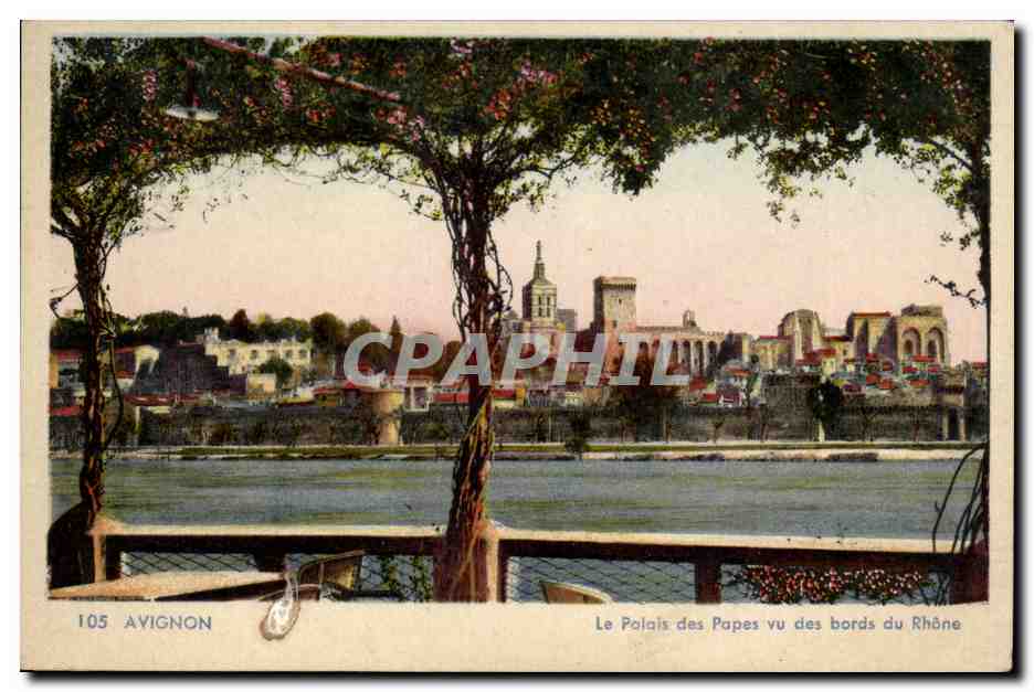 Avignon CPA Palais des Papes vu des bords du Rhone