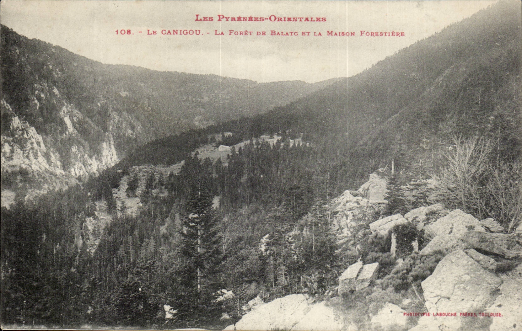 Le Canigou CPA La foret de Balatg et la maison forestiere