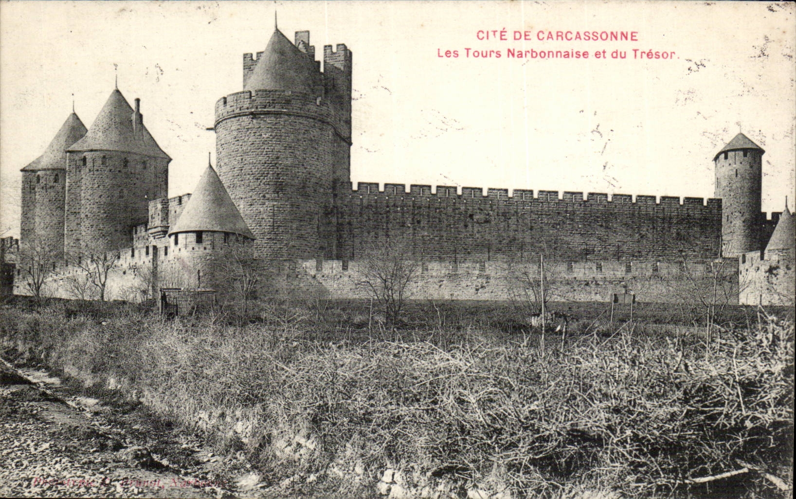 Cite de Carcassonne cPA Les tours Narbonnaises et du Tresor