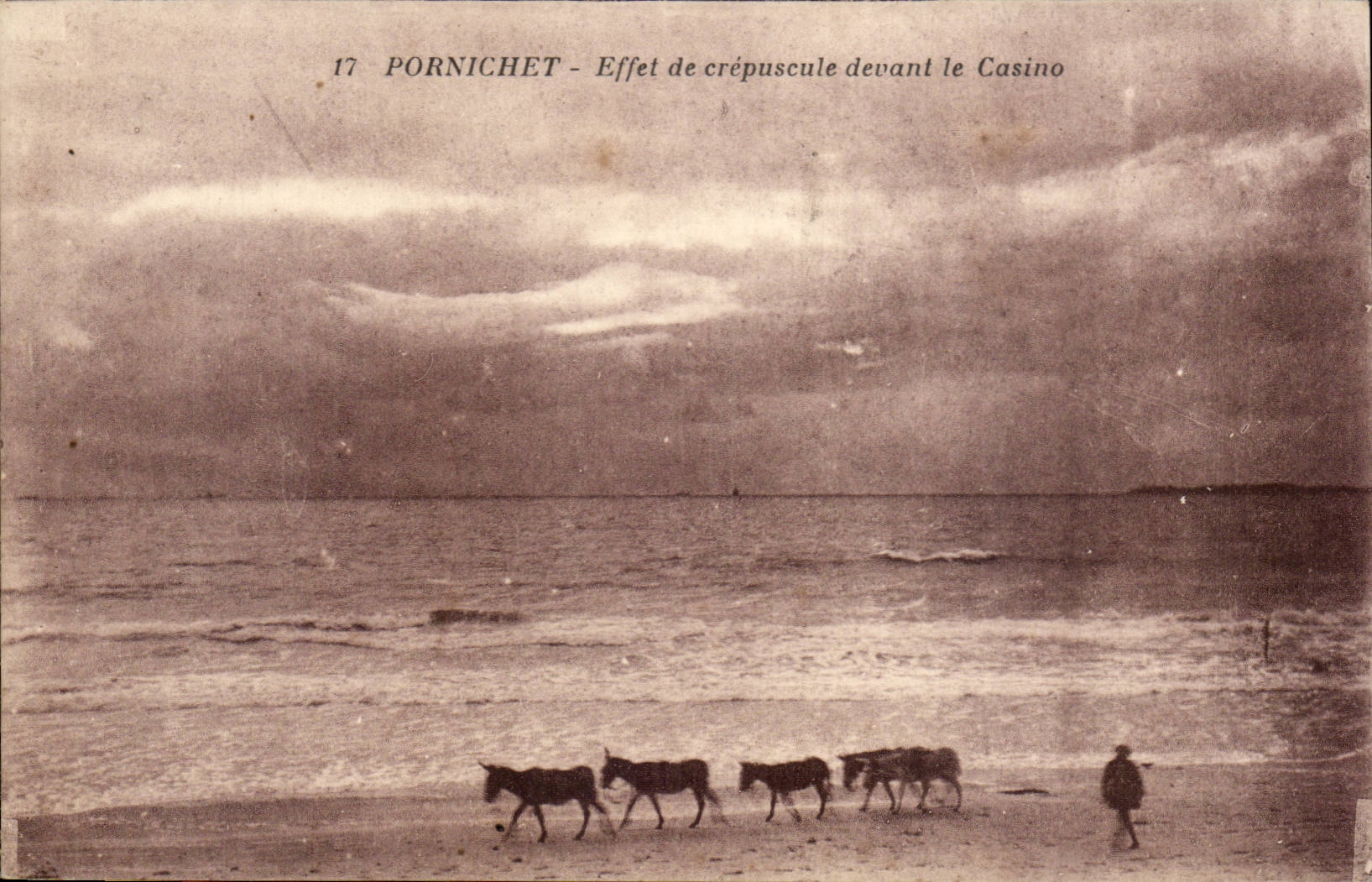 Pornichet CPA Effet de crepuscule devant le casino (ane donkey mule)