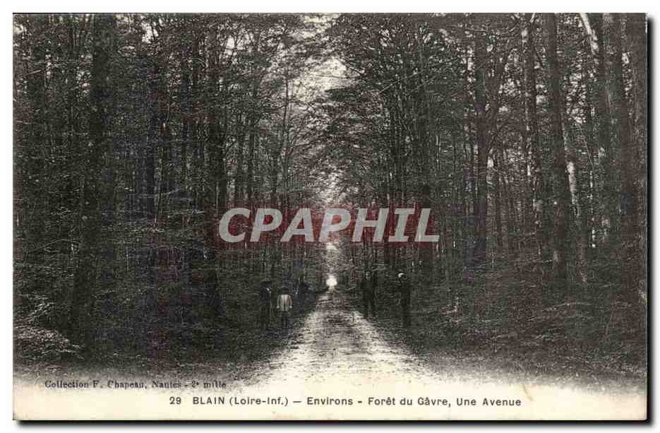Blain CPA Environs Foret du Gavre Une avenue