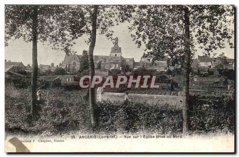Ancenis CPA Vue sur l'eglise prise au nord