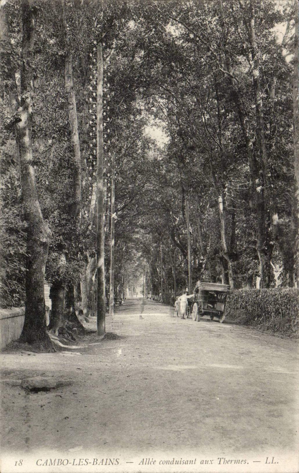 Cambo-les-Bains — Bäumchenreihen führend zu den Thermen — LL. n°18