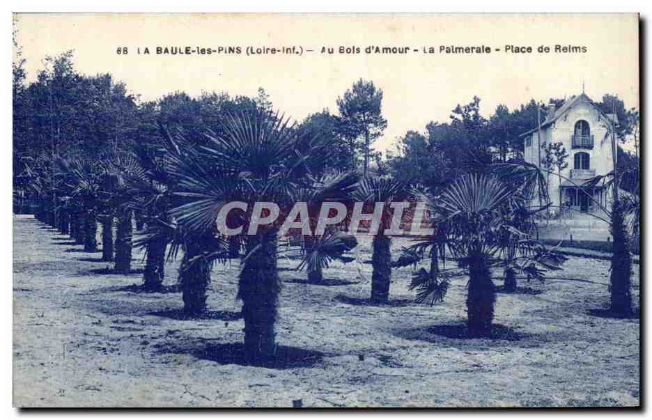 La Baule sur Mer CPA Au bois d'amour La palmeraie Place de Reims