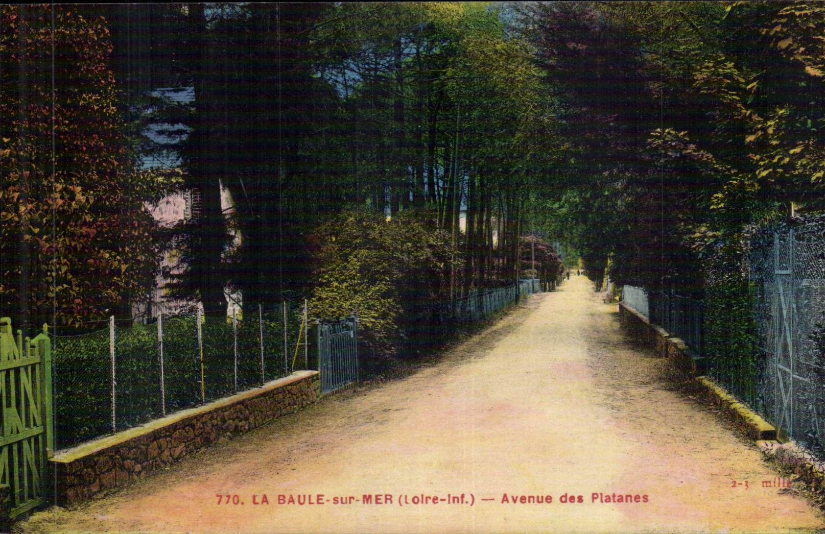La Baule sur Mer CPA Avenue des platanes
