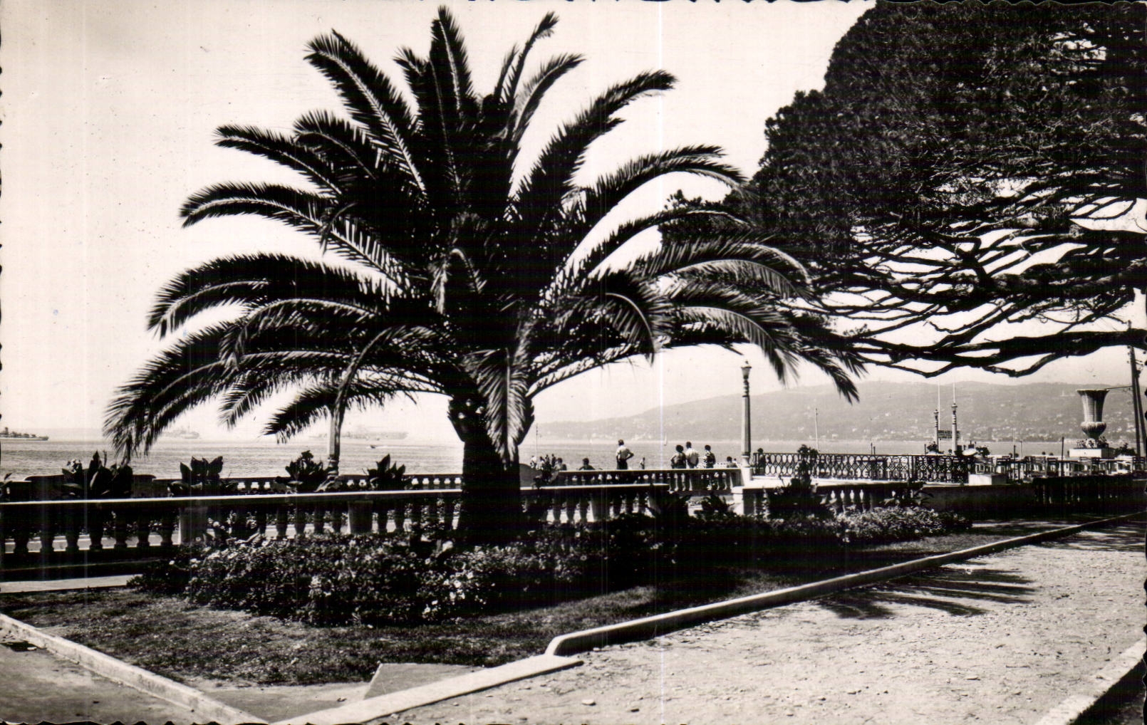 Juan les Pins CPA Un coin des nouveaux jardins