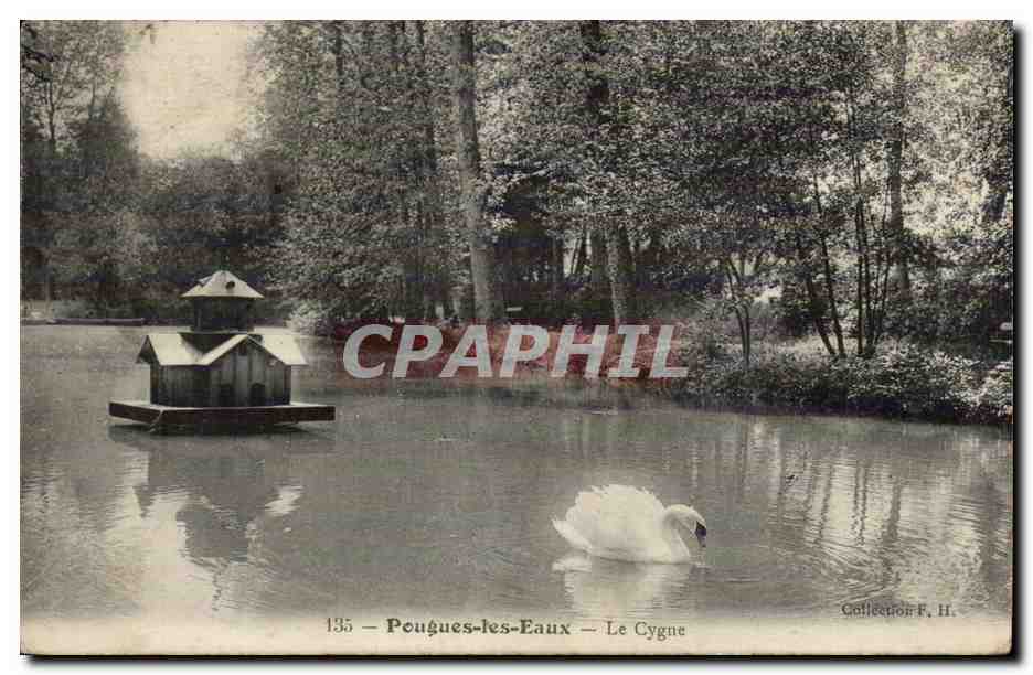 Pougues les Eaux CPA Le cygne (swan)