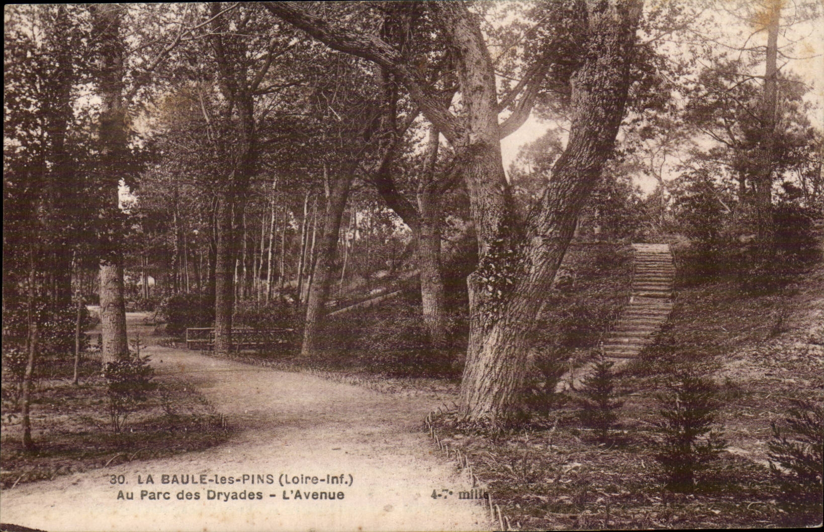 La Baule les Pins - Au Parc Dryades - L'avenue - CPA 