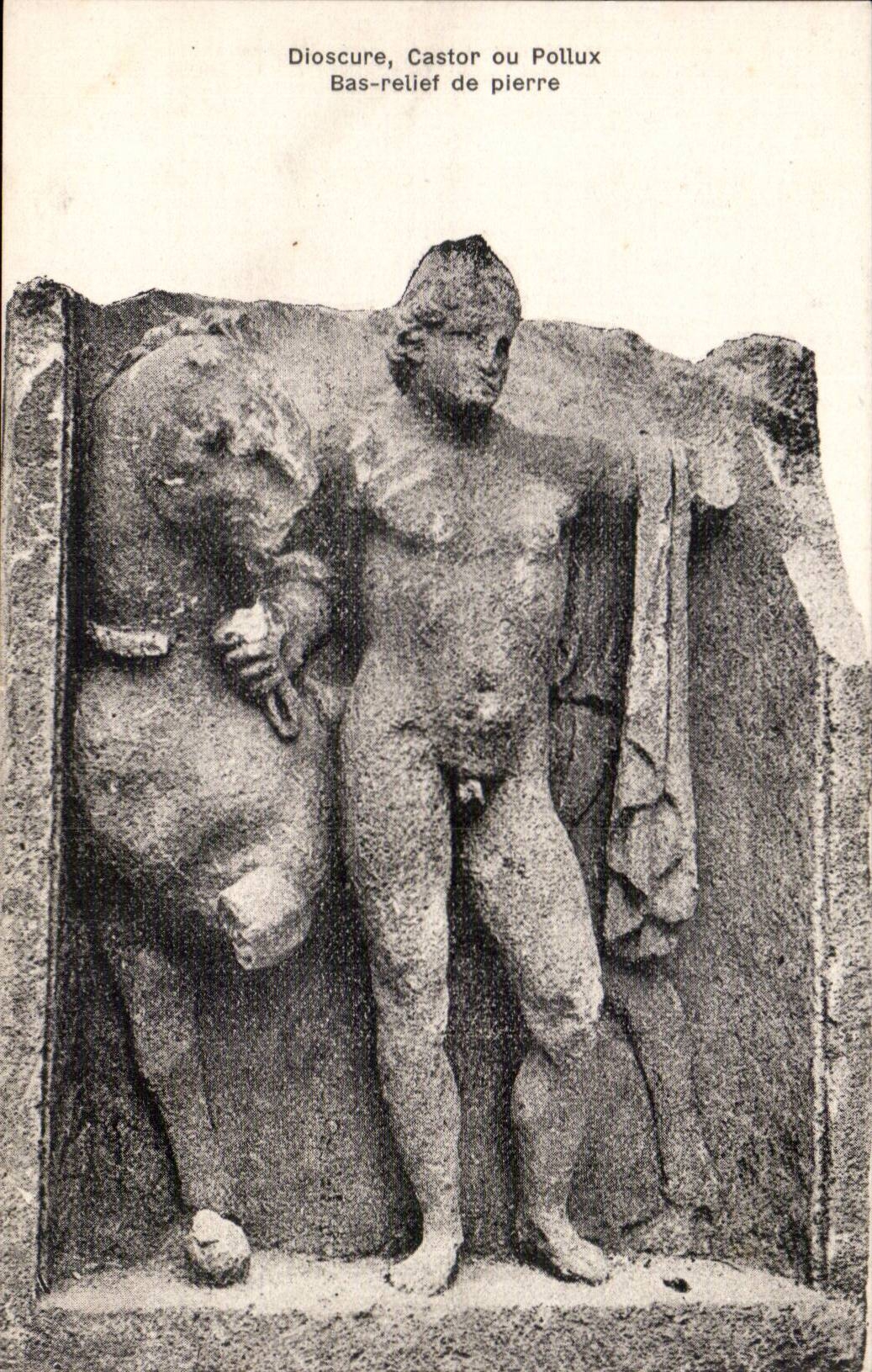 Dioscures, Castor ou Pollux — Bas-relief de pierre — CPAPHIL