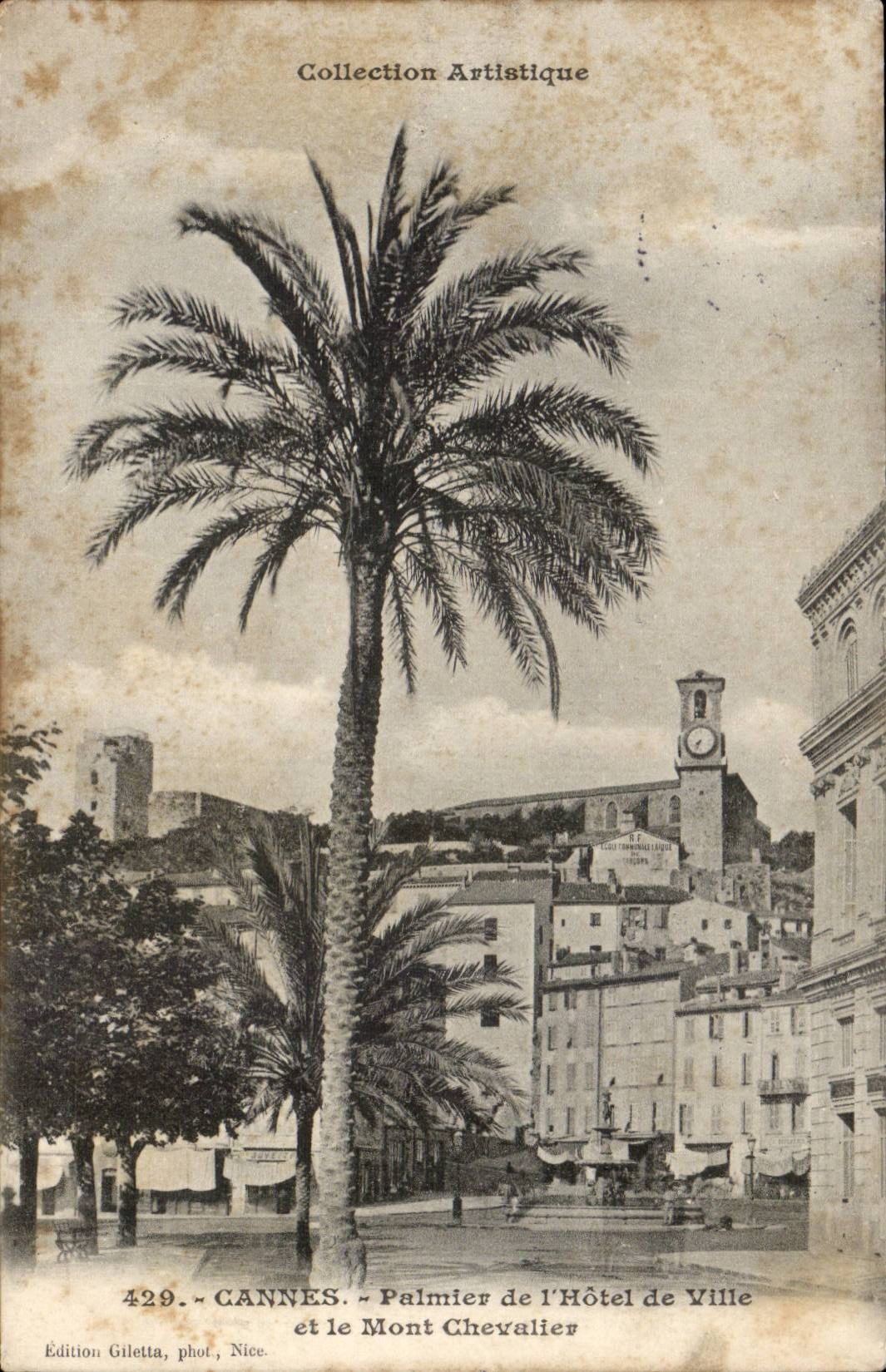 Cannes CPA Palmier de l'hotel de ville et le Mont Chevalier