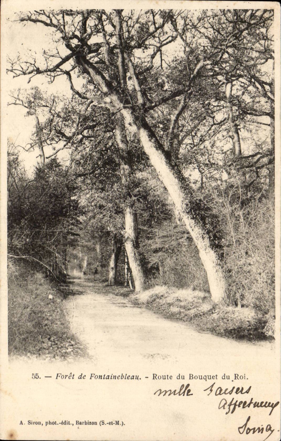 Foresta di Fontainebleau — Strada del Bouquet du Roi — A. Siron, fot.-edit., Barbizon (S.-et-M.)