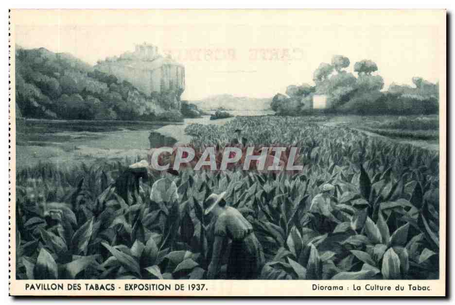 Paris CP Pavillon des Tabacs et des allumettes a l'exposition de 1937 Diorama la culture du tabac
