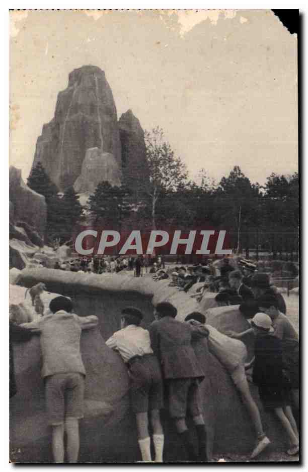 Vue du grand rocher des animaux de montagne — Muséum national d'Histoire naturelle, Parc zoologique du Bois de Vincennes — Photo héliogravure J. Fretz, n°409