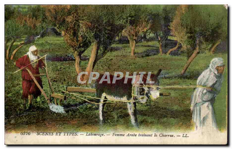 Femme Arabe trainant la Charrue — SCÈNES ET TYPES — LL. — n° 6376