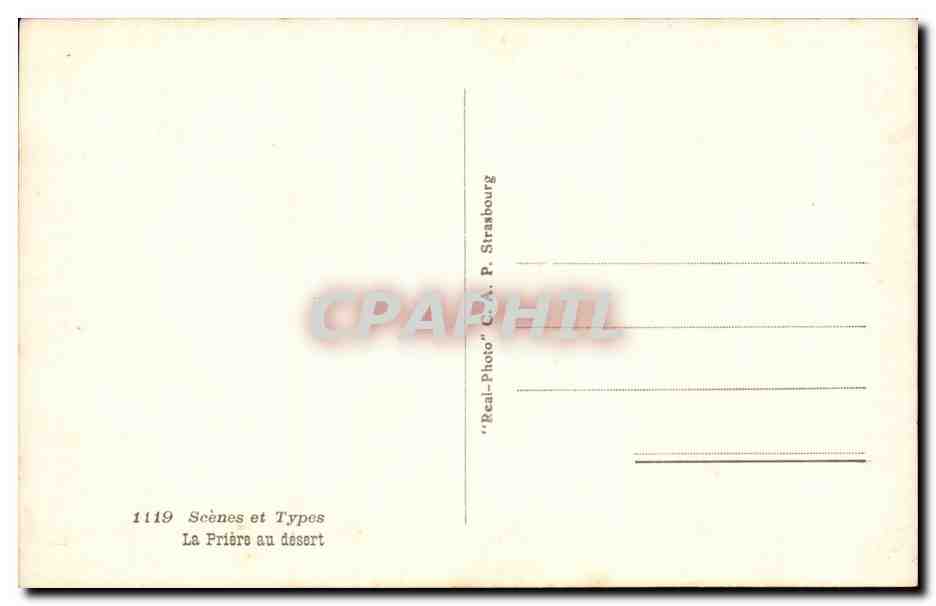 Algerie CPA Scenes et types La priere du desert (chameau camel) — Rückseite