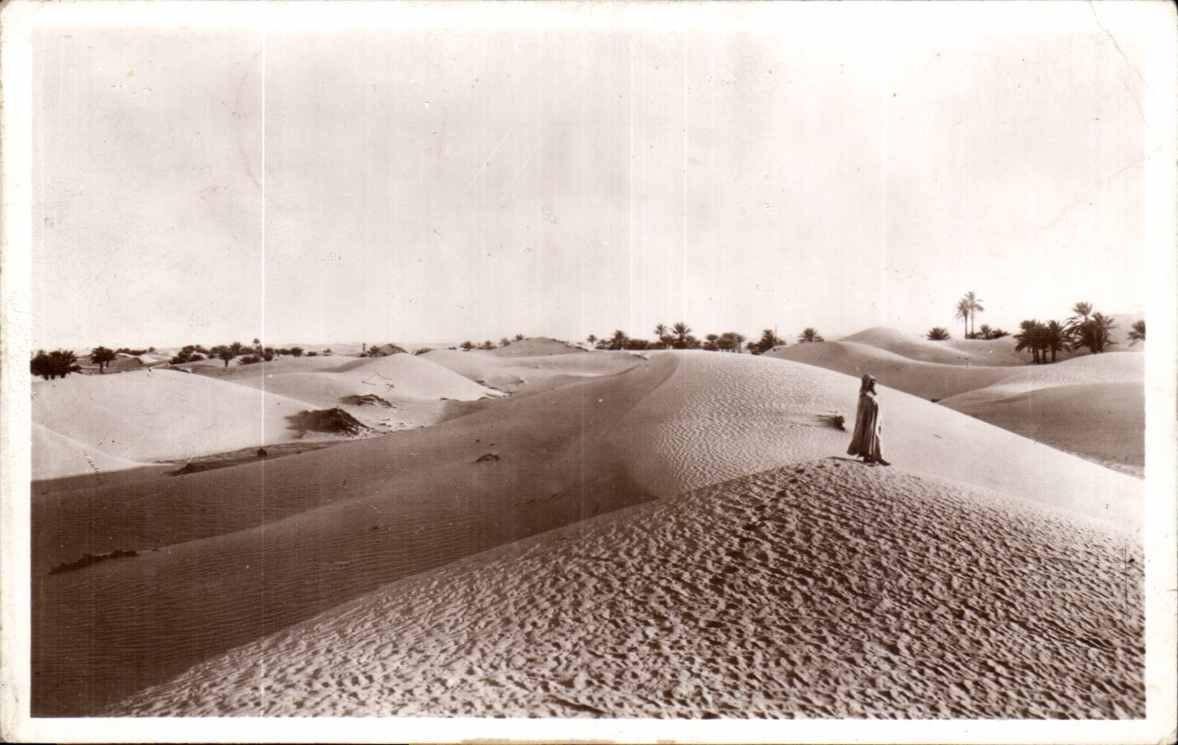Algerie CPA Scenes et types Les dunes dans le sud