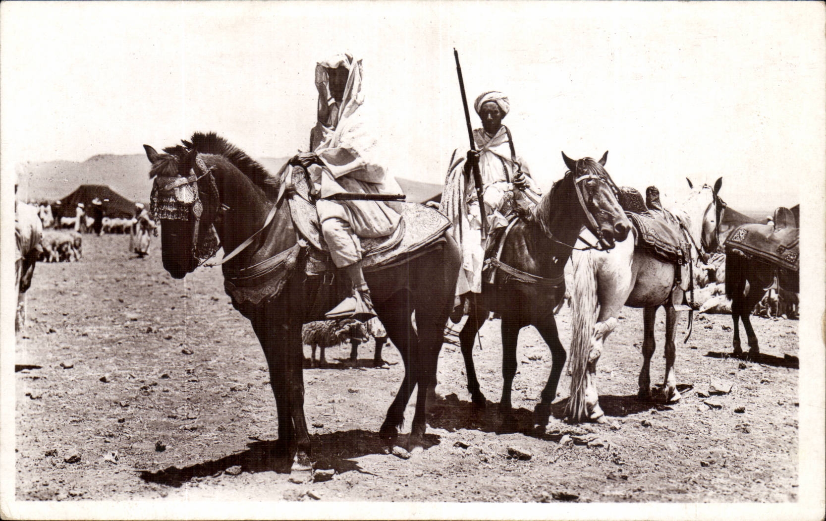 Cavaliers du Sud — Algérie — Édition Carnot, Alger