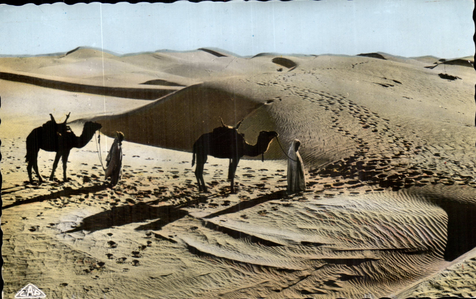 Algerie CPA Scenes et types Passage des dunes de sable au soleil
