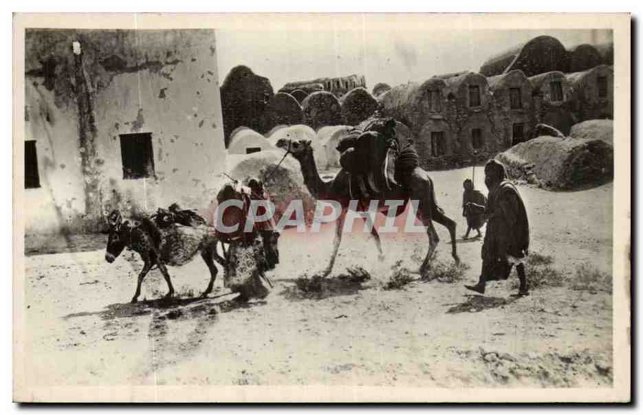 Algerie CPA Scenes et types Habitations arabes (ane donkey)