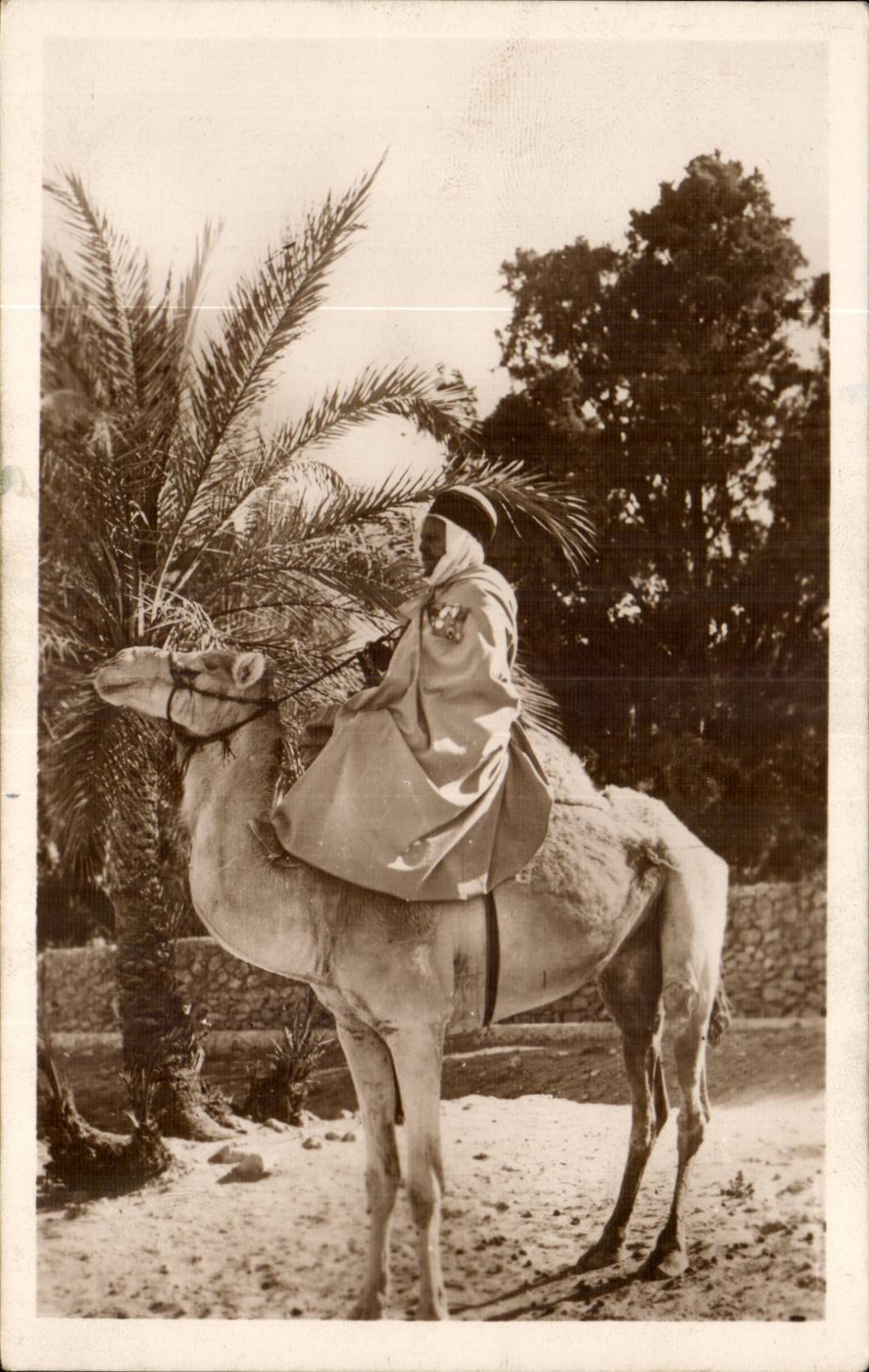 Un beau méhariste — Algérie — Édition « La Cigogne »
