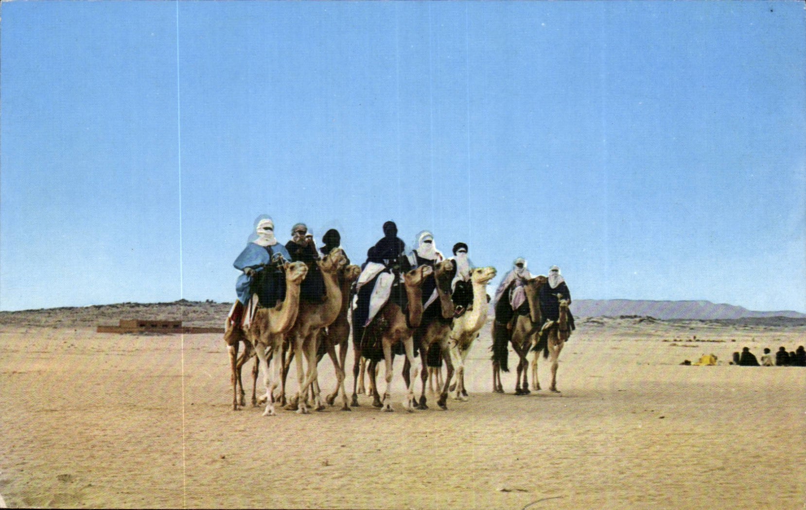 Algerie CPA Hoggar Un groupe de touaregs (camel chameau)