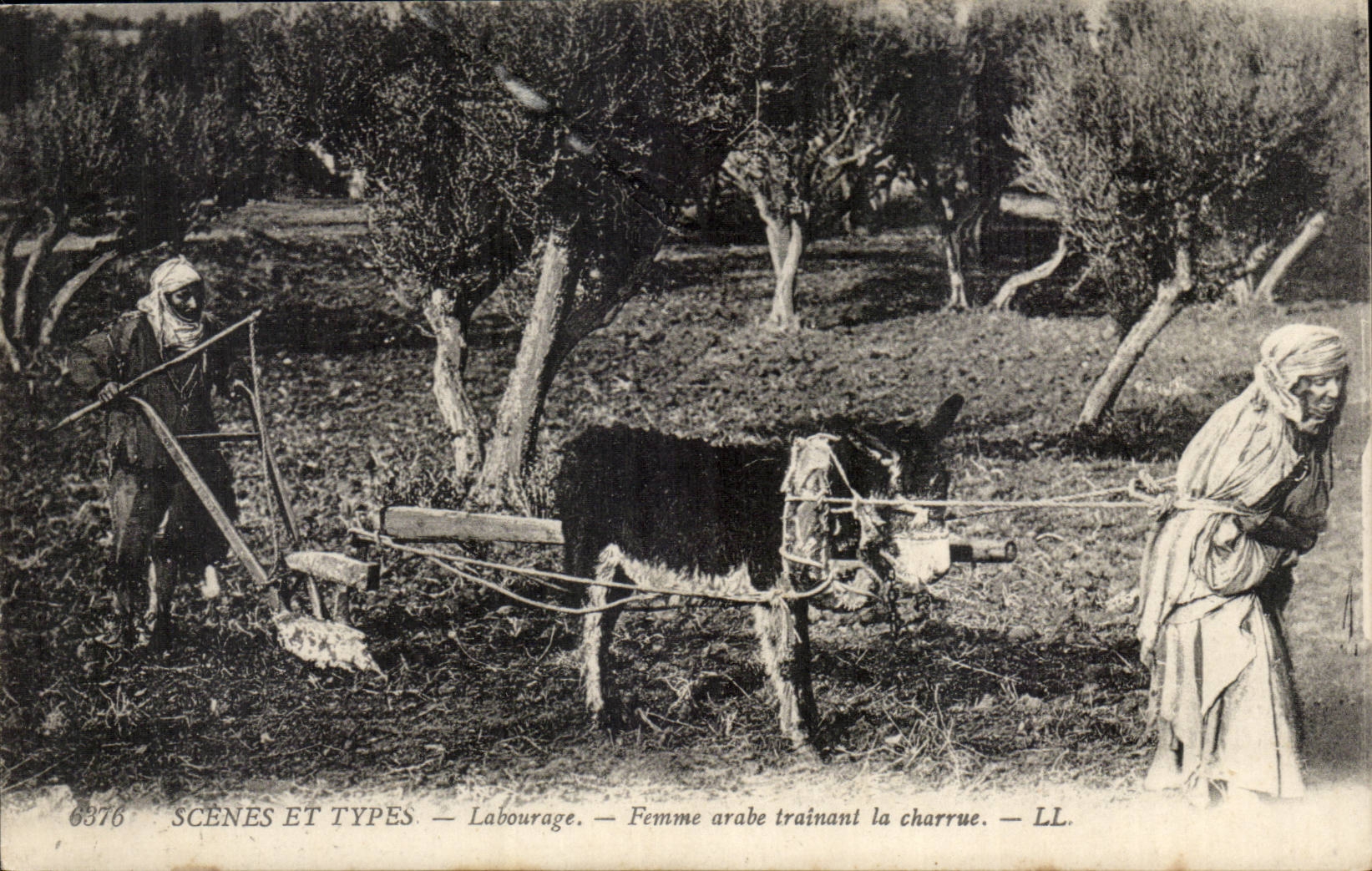 Femme arabe trainant la charrue — SCÈNES ET TYPES — LL — n° 6976