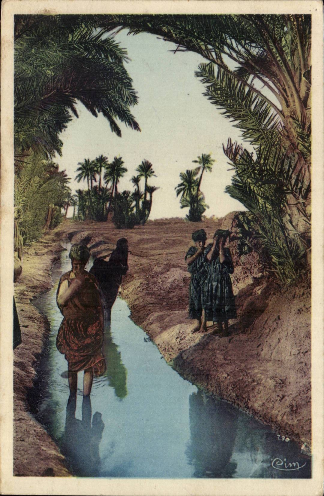 Algerie CPA Scenes et types Les femmes a la Seguia dans une palmeraie