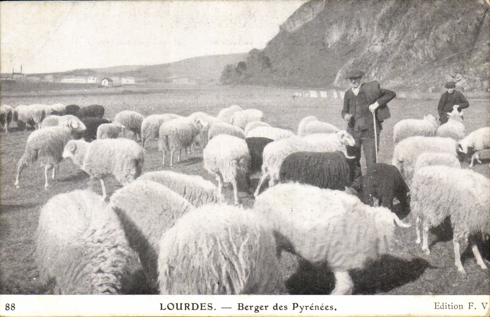 Lourdes CPA berger des Pyrenees (moutons)