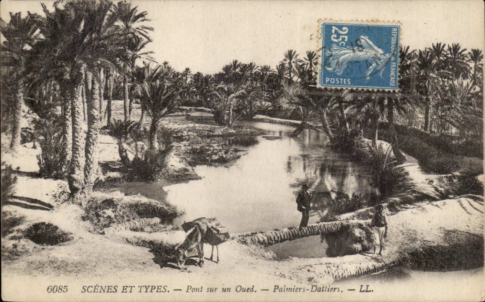 Algerie CPA Scenes et types Pont sur un oued Palmiers dattiers (ane donkey)
