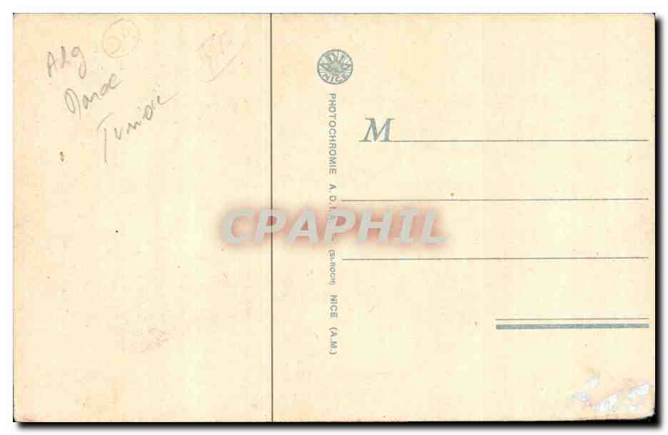 Algerie CPA Scenes et types Voyage de noce (chameau camel) — Rückseite