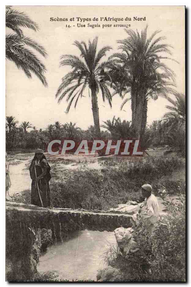 Algerie CPA Scenes et types Une Saguia pour arrosage