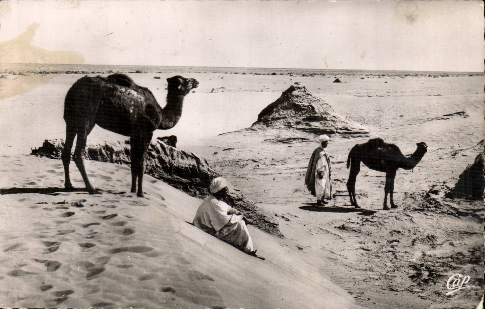 Algerie CPA Scenes et types Paysage saharien au desert