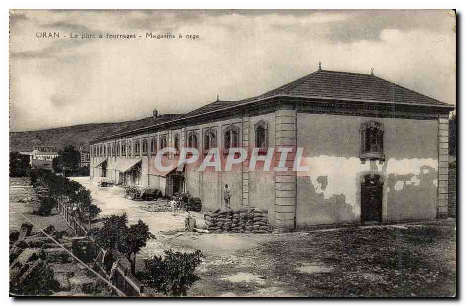 Oran - Le parc à fourrages - Magasins à orge